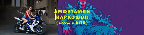 мет Алексин
