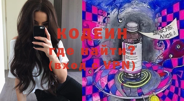 мет Алексин