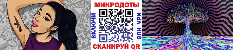 продажа наркотиков  Кашин  Галлюциногенные грибы Cubensis 